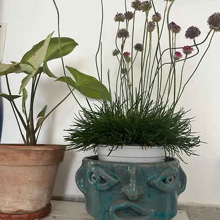 A Casa Di Andrea *
